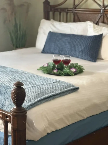 Comfort Suite