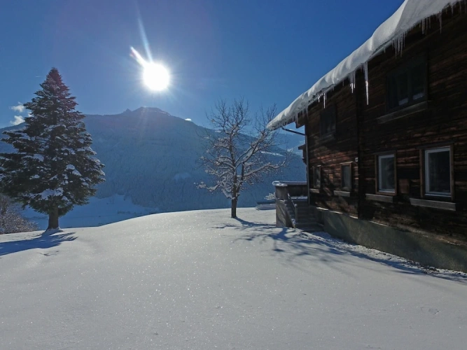 Cottage