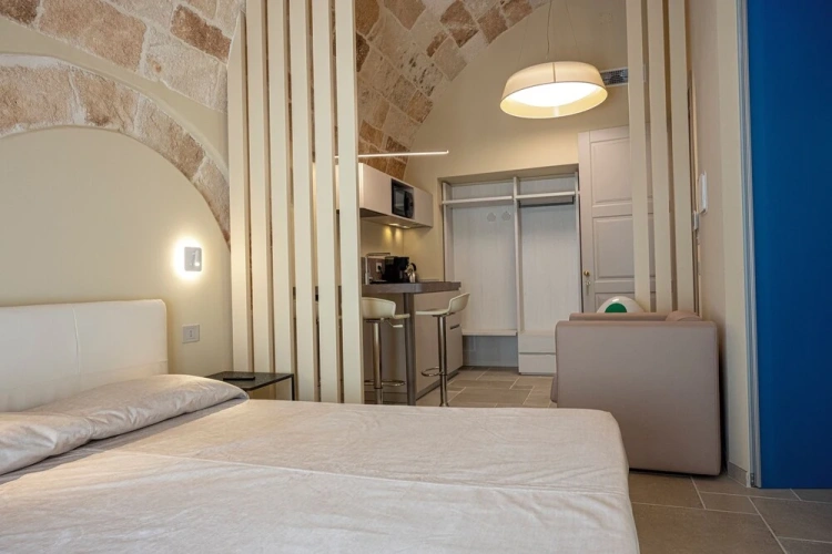 Deluxe Double Apartment with balcony and with city view