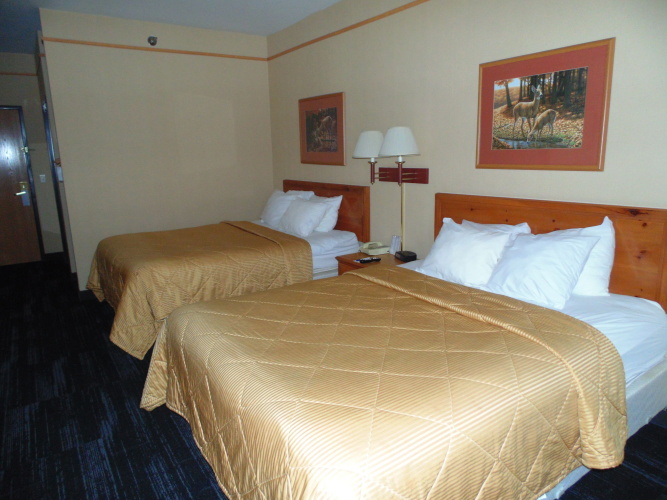 American Inn & Suites photo 8
