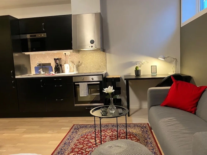 Basement Apartment