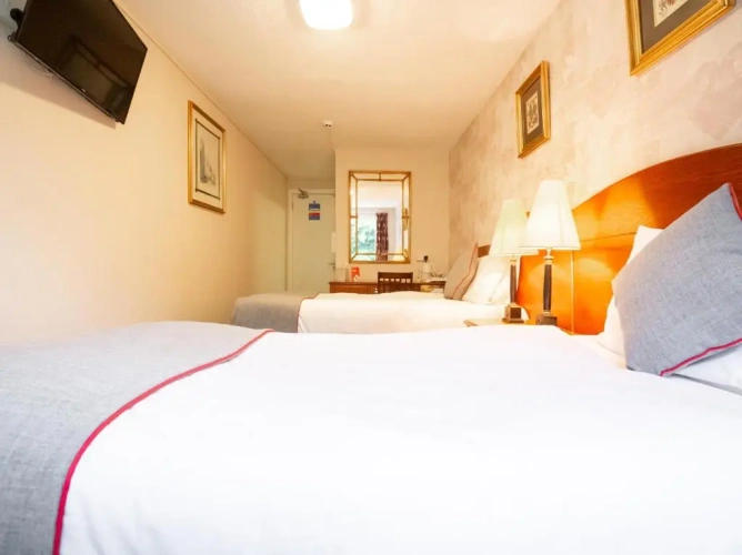 Standard Twin room with garden view