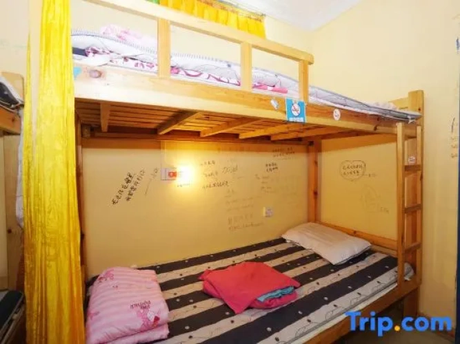 Bed in Dorm