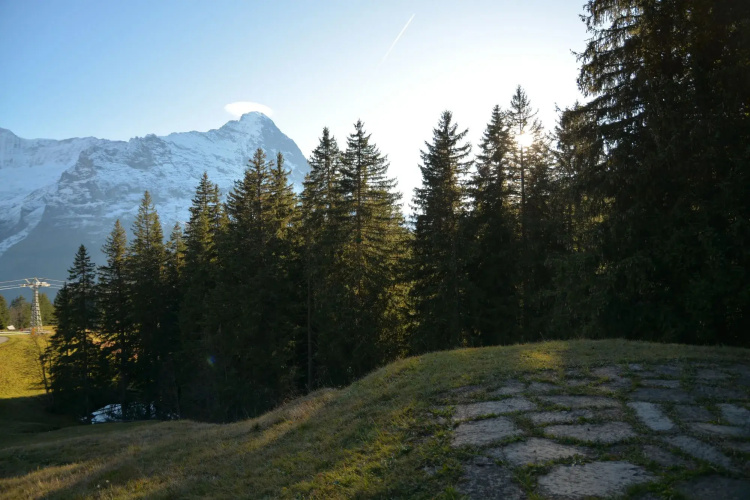 Chalet Lecocq by GriwaRent