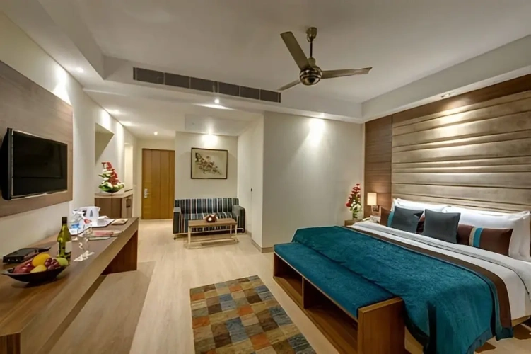 1 Bedroom Deluxe Double room