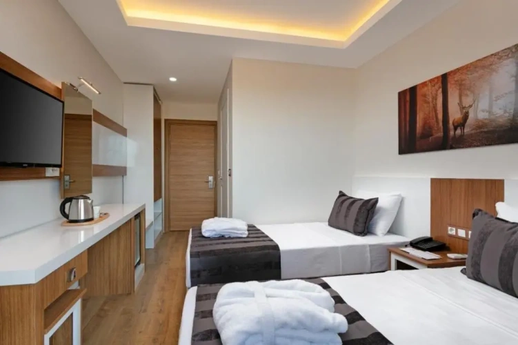 Standard Twin room with balcony