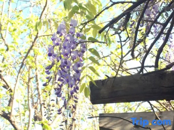 Outside