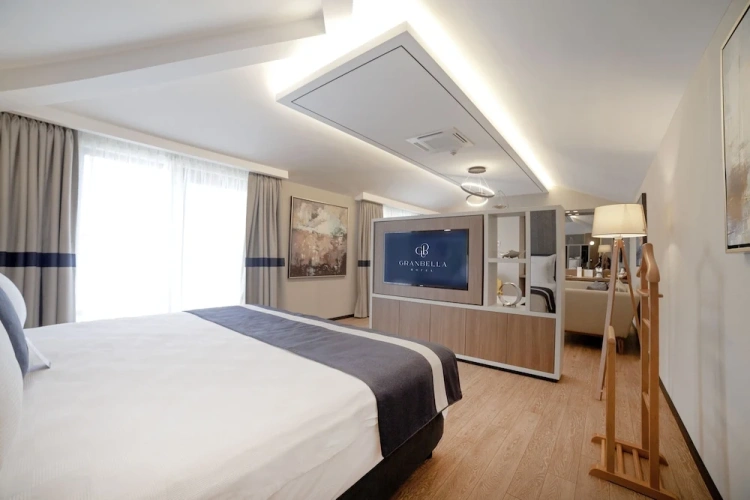 Luxury Suite