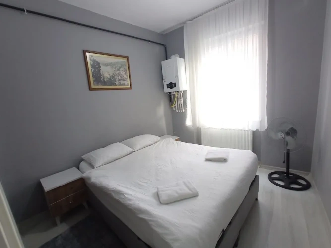 Classic Apartment
