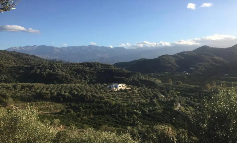 Olive House by MediterraneanVillas