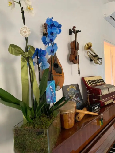 Music House Palinuro