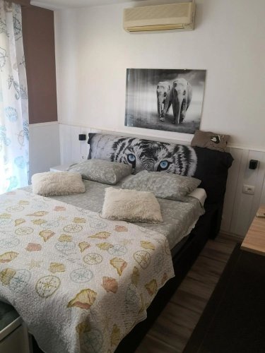 Apartment Serpa
