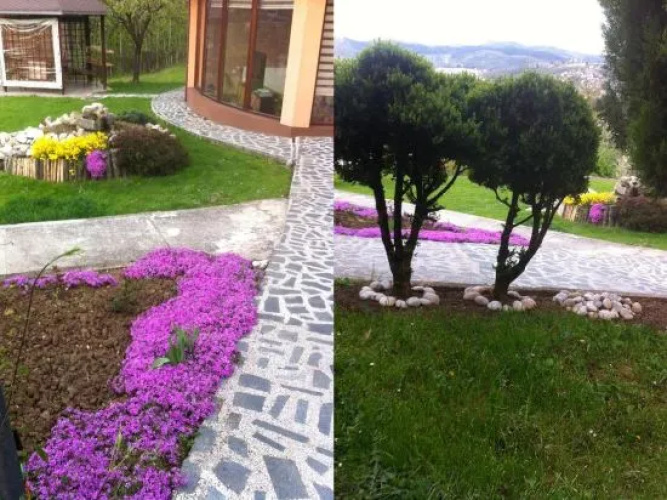 Exclusive Apartments Bistrik