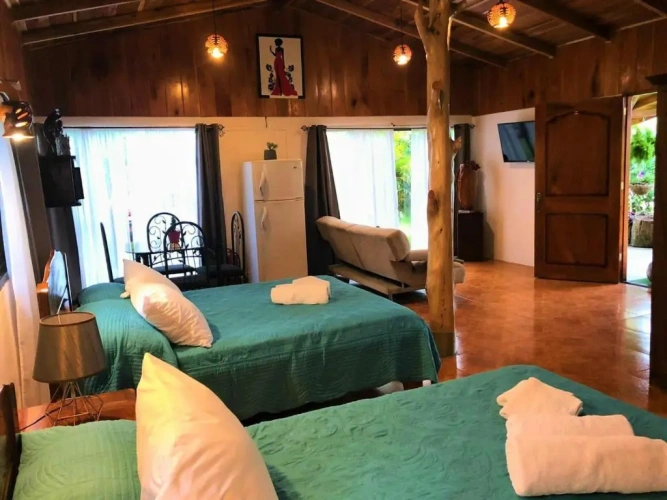 Standard Double Family room with view