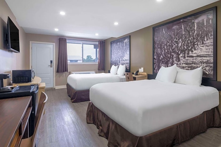 Quadruple Family Suite