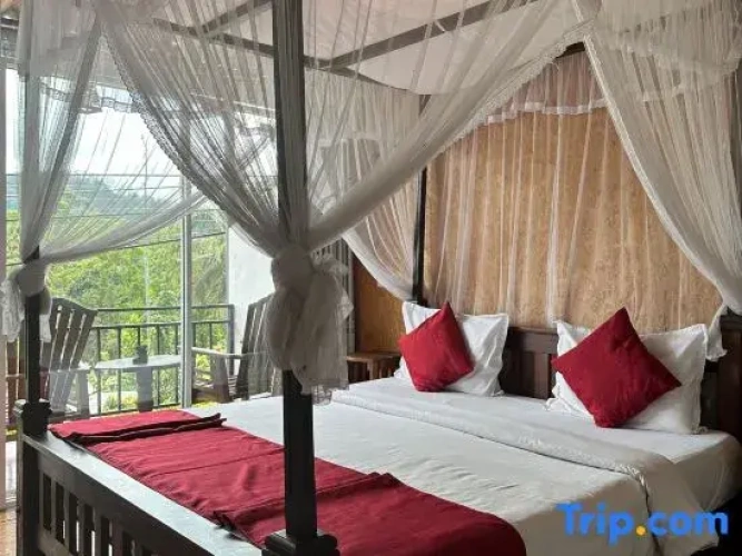 3 Bedrooms Standard Double room with view