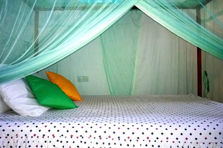 Standard Double room with view