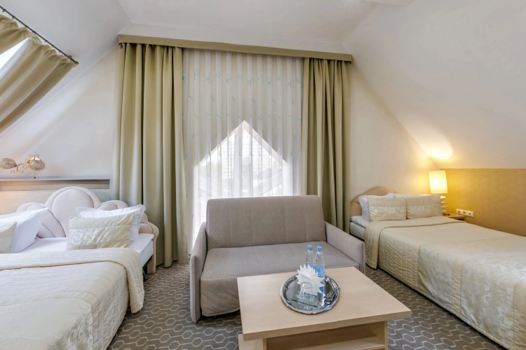 Double Attic Junior Suite