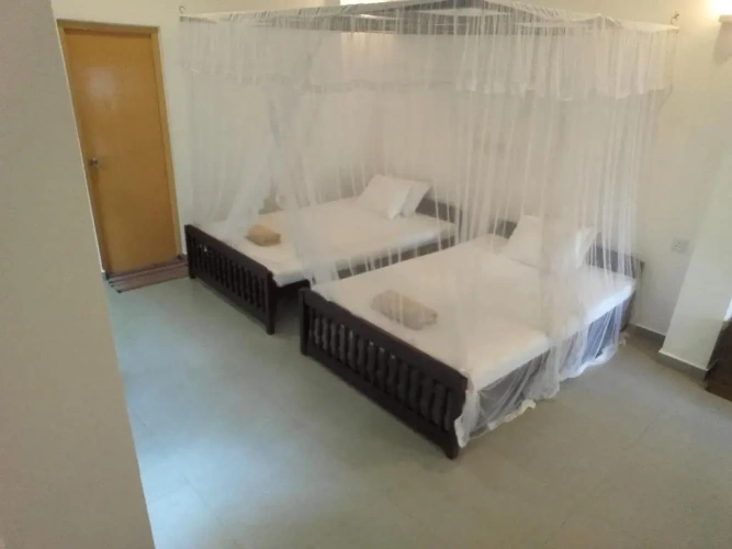 Standard Double Family room