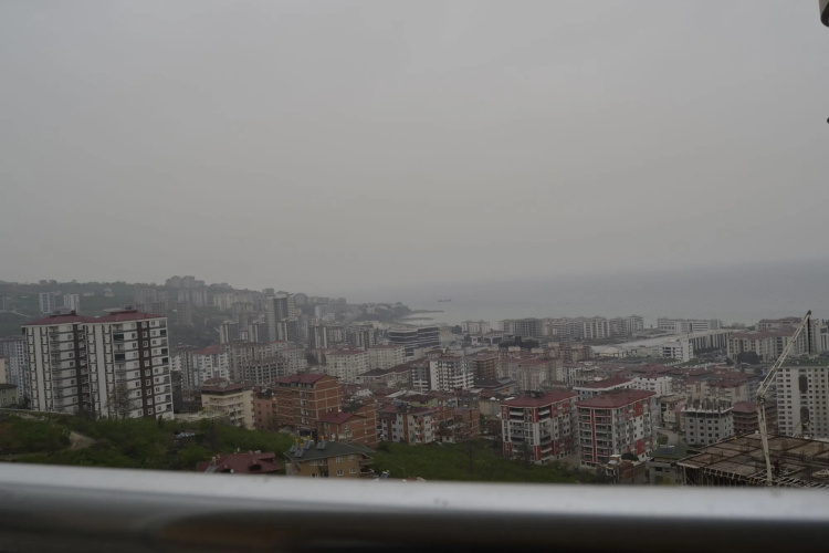 Canary Apart
