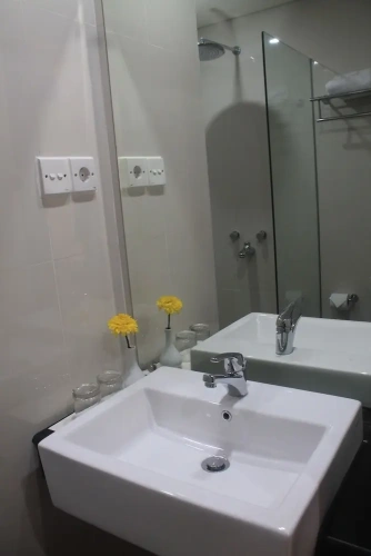 Deluxe room with city view