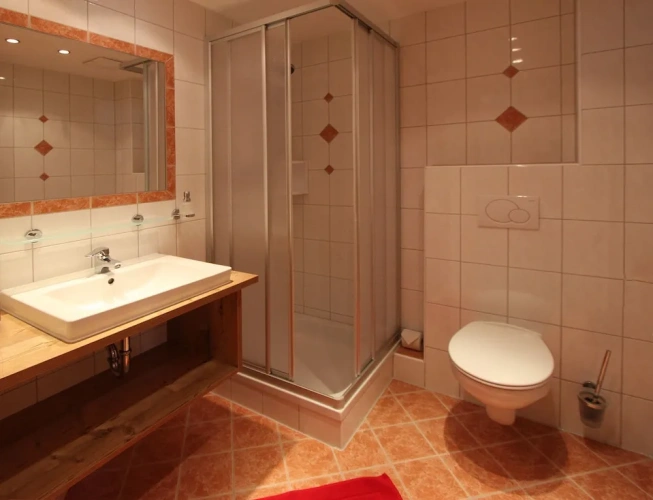 Standard Double room with balcony and with mountain view