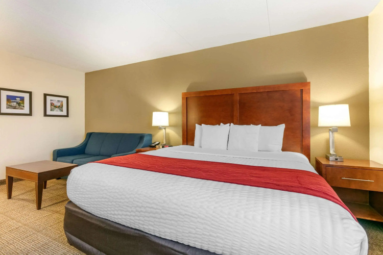 Comfort Inn Chattanooga Downtown Southside