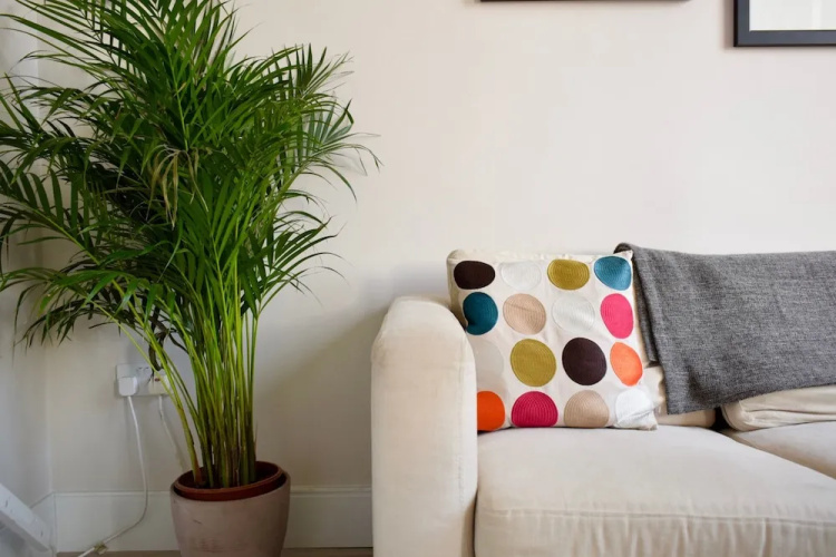 1 Bedroom Flat in Lower Clapton