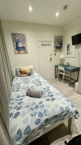 Comfort Suite
