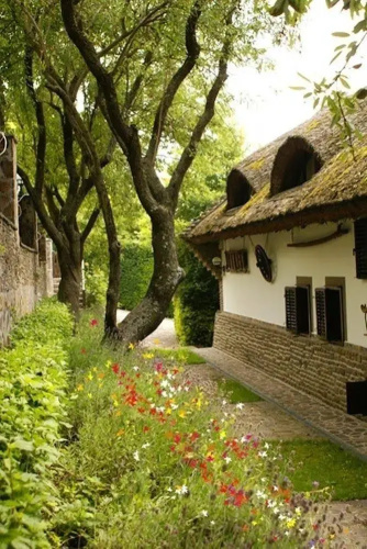 Villa Alexander