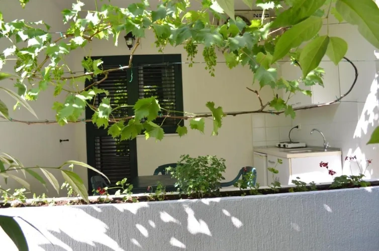 Basement Apartment