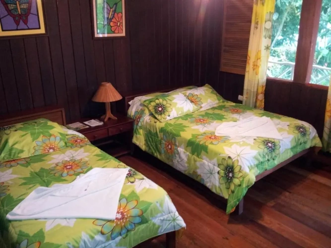 Standard Double Family room