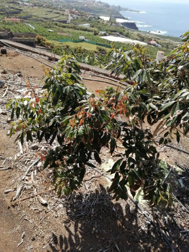 Vista Valle