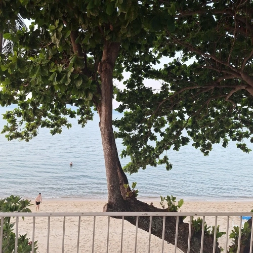 Deluxe room beachfront