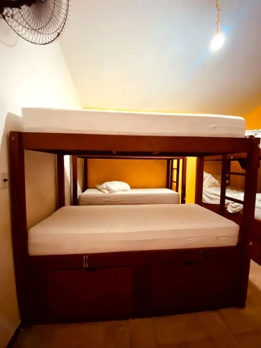 Bed in Dorm