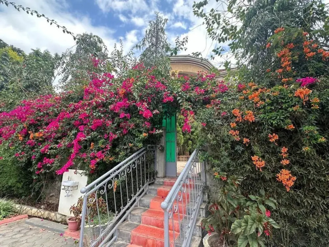 Ahaka cottages