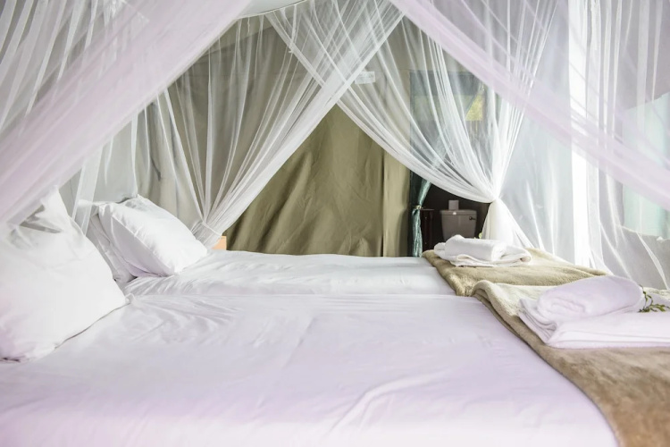 Shalati Safari Camp