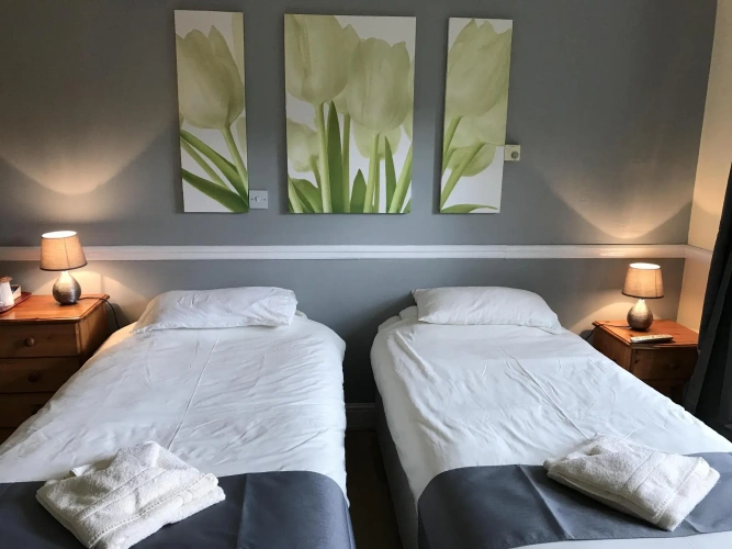 Standard Twin room