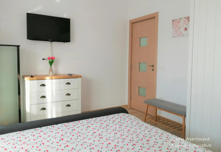 Cozy Apartment Bujorilor Suceava