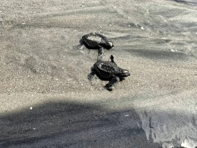 Playa Caracol, a Happy Beach