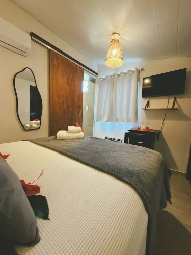 Standard Suite