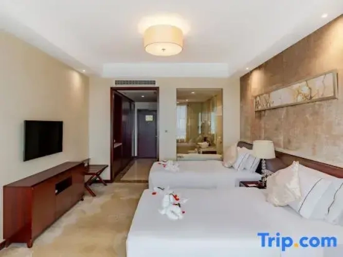 Deluxe Twin room with city view