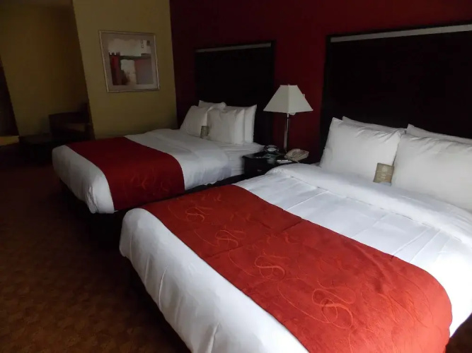 Comfort Suites Spring