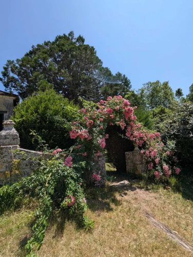 Domaine de la Dordrona