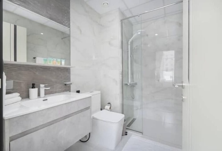Luxury Apartment