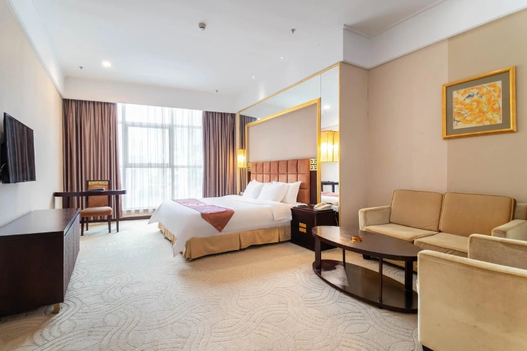Standard Double room with city view
