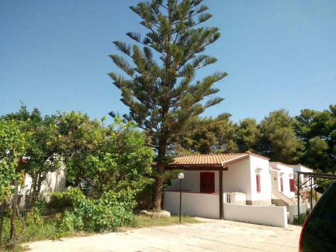 1 Bedroom Cottage