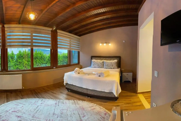 Standard Double room with pool view