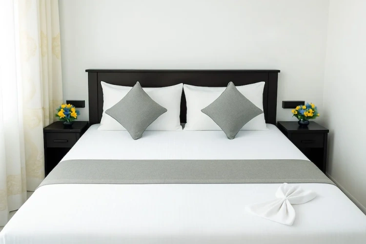 Standard Double room with balcony and with river view