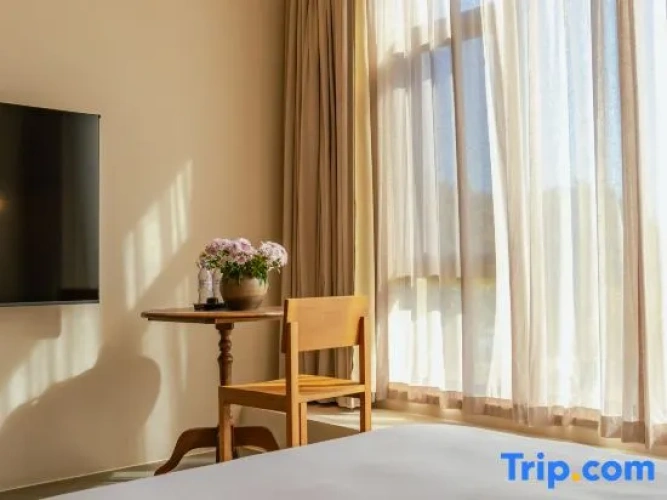 Standard Double room with courtyard view